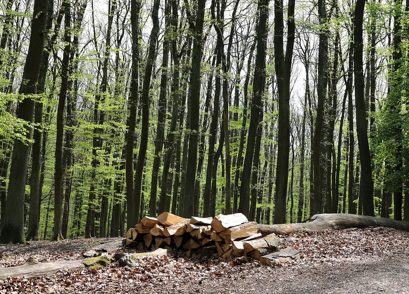 Hout stoken is duurzaam — als u het goed doet