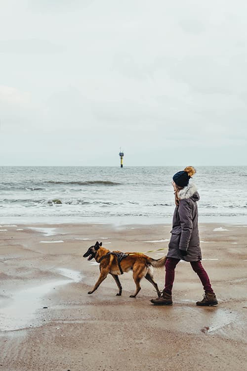 Renders installeert hybride verwarmingssystemen in Knokke-Heist